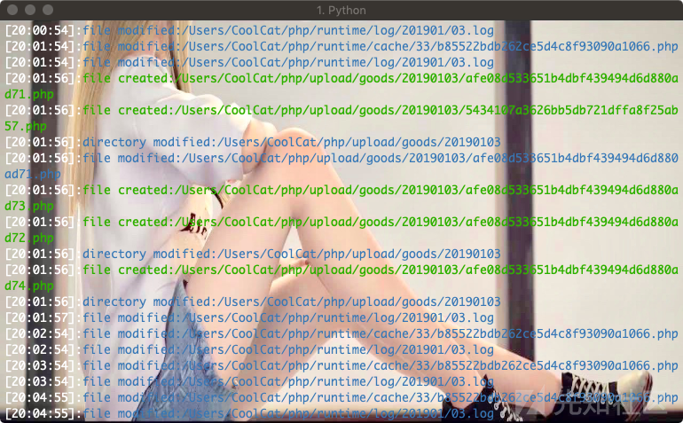 t17.png